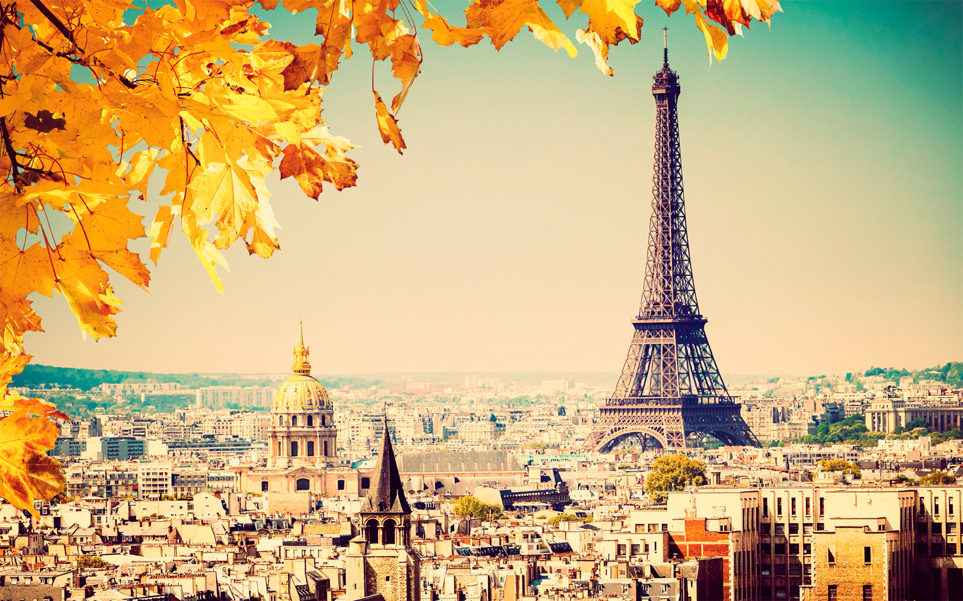 Tháp Eiffel – Tham quan kỳ quan thế giới tại tầng 2 - ngắm nhìn toàn cảnh của thủ đô Paris.